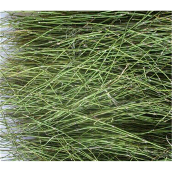Classical Ma heng Green Tea Natural Muhueng Tea Health Care Herbal Tea