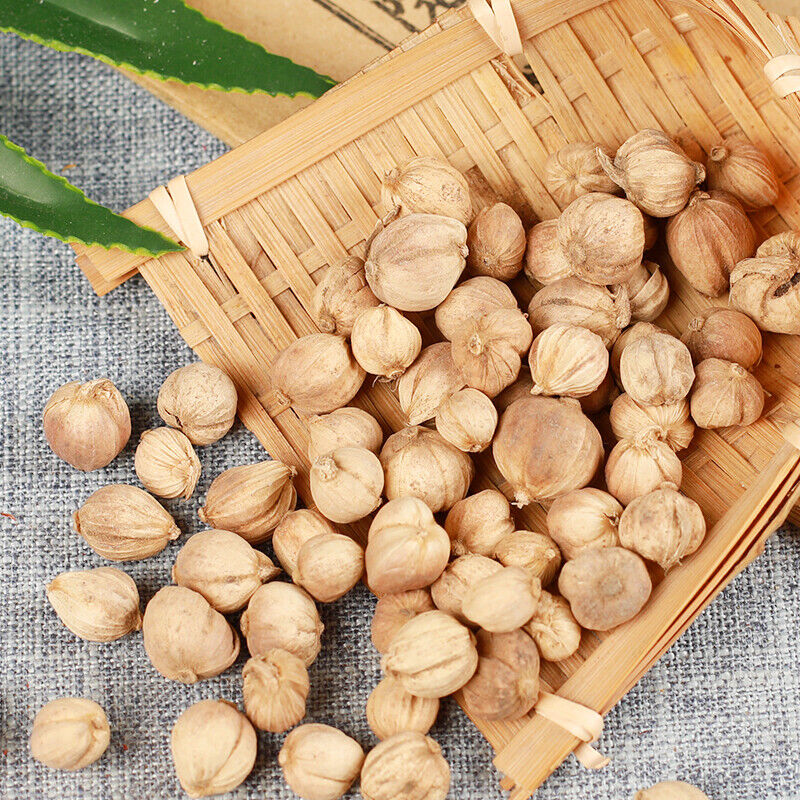 250g/8.8oz /500g/1.1LB Baikouren 100% Organic Healthy Herbal Tea Health  Tea 白蔻仁