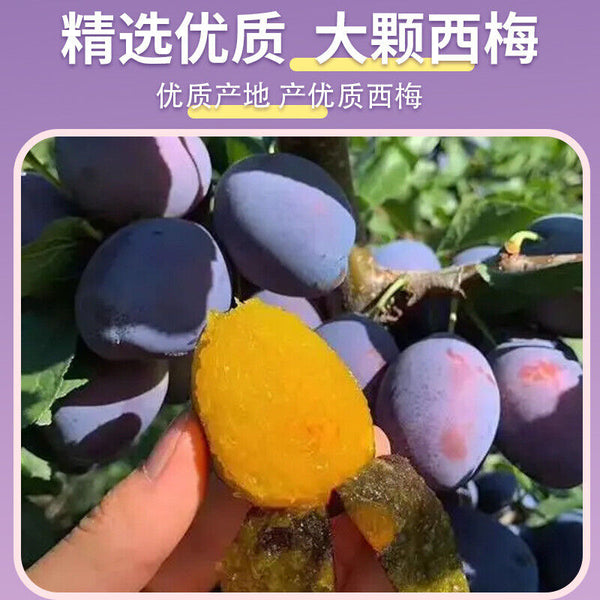 HelloYoung Prune Soso Jelly Prune Soso Jelly Prune Soso Jelly Hi Eating Soso Jelly 75g