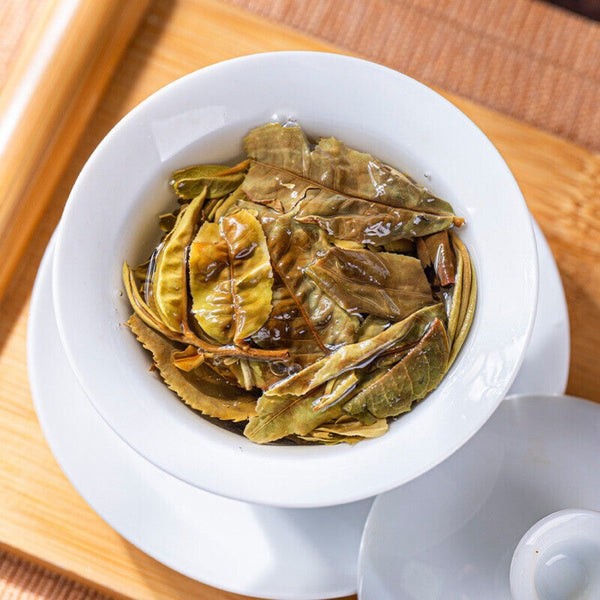 Ancient Tree Pu Erh Raw White Tea Honey Aroma Sweet Aftertaste Large Leaf