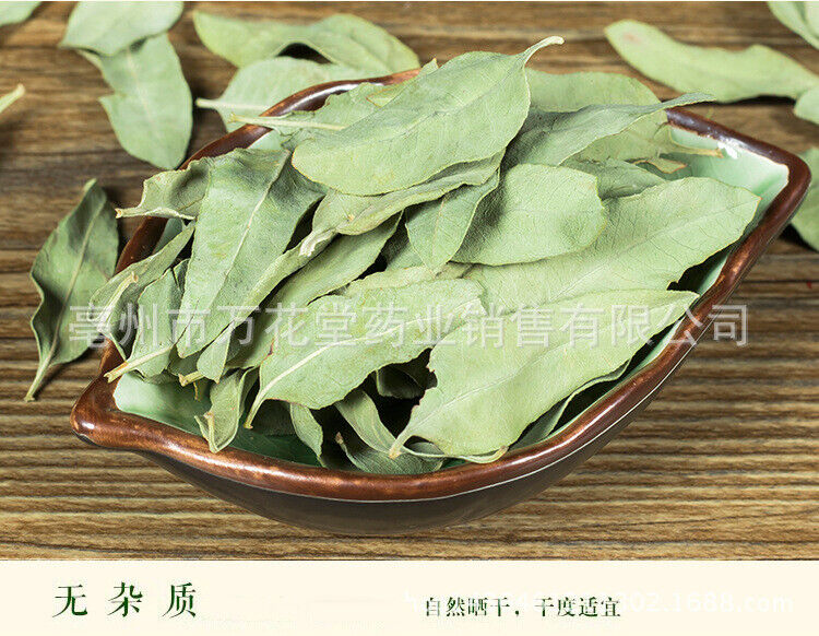Apocynum Venetum Leaf Chinese Herbal Tea Health Tea