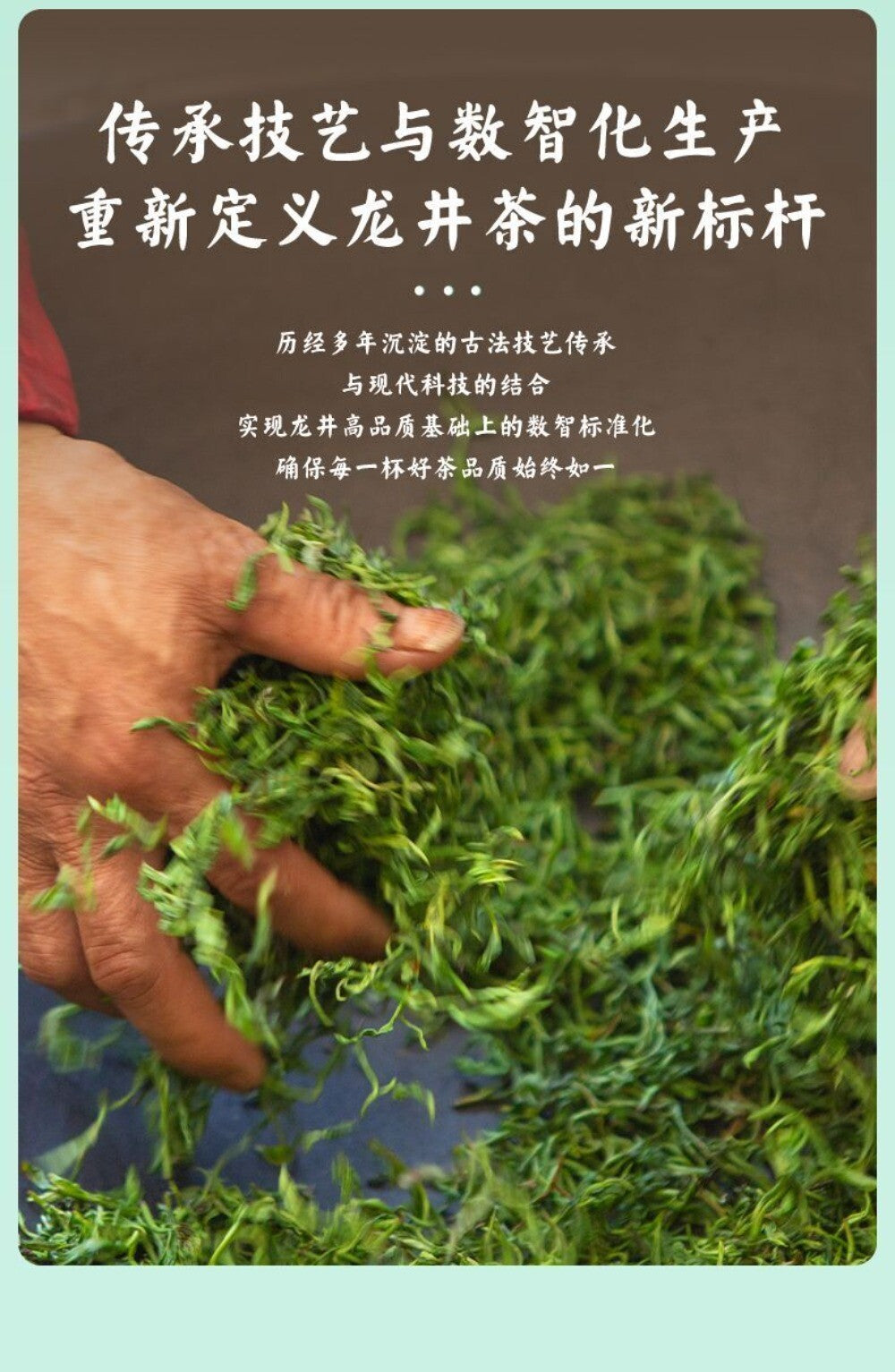 Premium Meijiawu Longjing Tea 2025 Spring Pre Rain 200g Natural Healthy