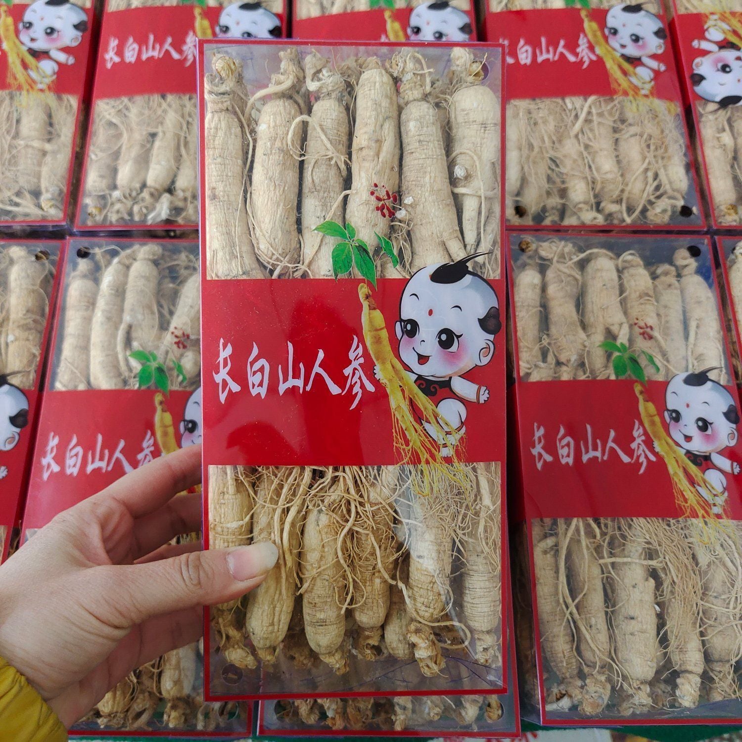 500g Mountain Premium Gift Box for Health Ginseng Whole Root from Changbai Main image