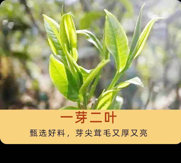 HelloYoung 357g Yunnan Tea Pu'er Raw Tea Savage Ancient Tree Pu'er Tea Pu'er Tea Cake