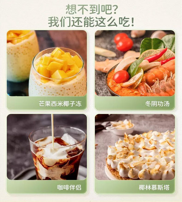 Pure Coconut Powder Instant Original Coconut Milk Powder for Baking Dessert