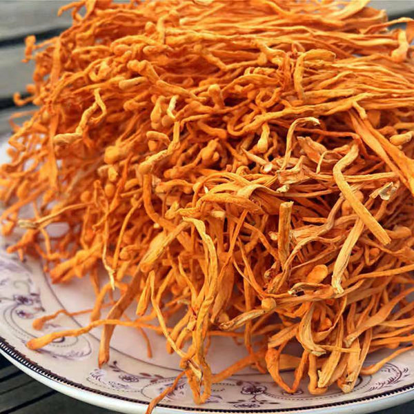HelloYoung Chinese Anti-aging Cordyceps Flower100g Chong Cao Hua Lowering Blood Pressure