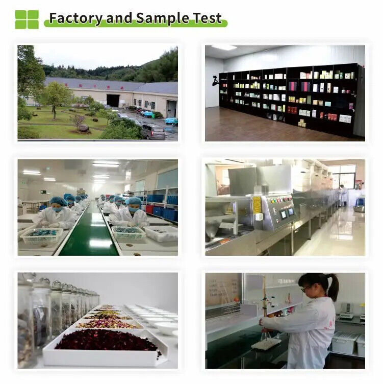 Famous Yunnan Shen Puer Tea Cake Organic Unfermented Puerh Cha Bing 400g