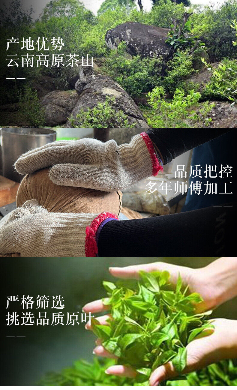 HelloYoung Yunnan Pu'er Tea Cake Jingmai Mountain 357g Raw Tea Cake