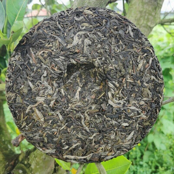 HelloYoung 357g Brown Mountain Old Tree Pu'er Tea Zhonghong India Laobanzhang Cha Tea