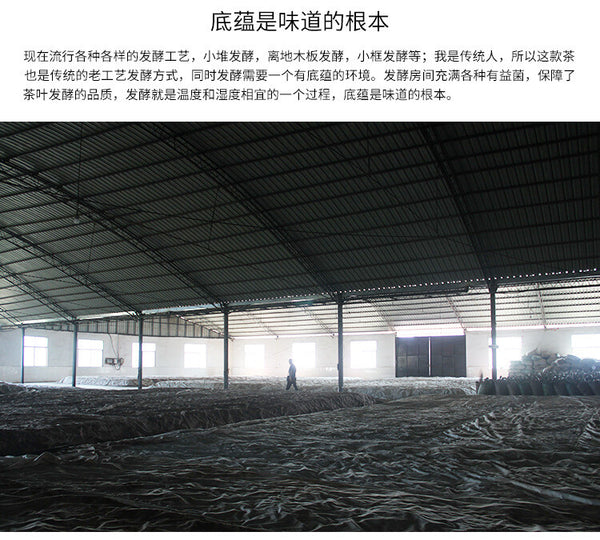 357g 2021 Big Tree Early Spring Tea Yongming Tea Factory Pu'er Raw Tea