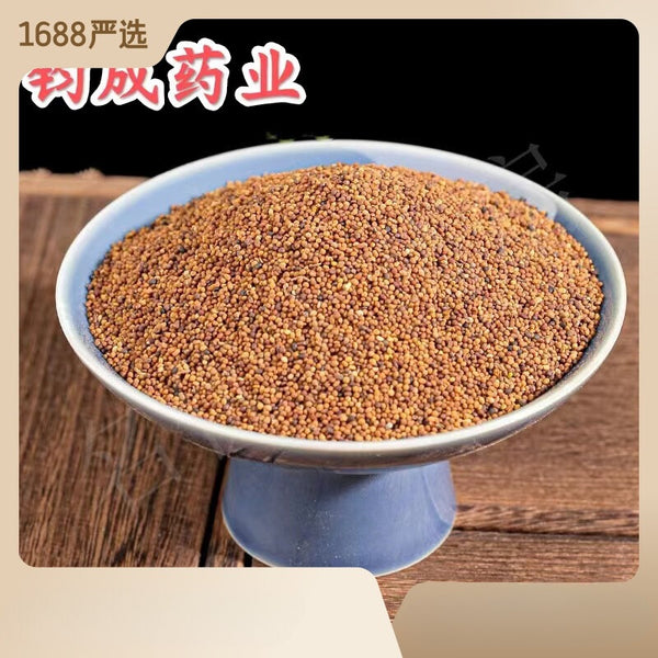 High Quality Chinese Dodder Seed Sulfur Free New Products Herbal Tea Tusizi 菟丝子