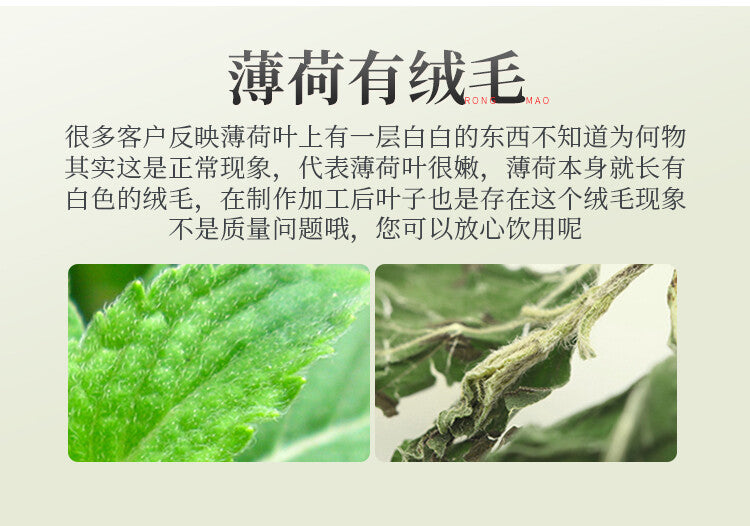 Dried Refreshing Tea Healthy Drink Organic Natural Mint Leaves
