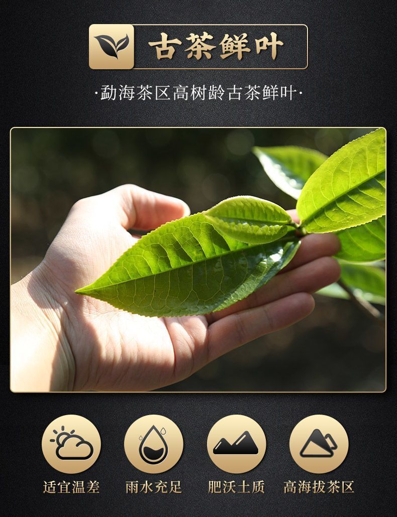 Pu'er Tea Cooked Tea Brick Small Gold Brick Tea Yunnan Menghai Mini Tuo Tea 500g