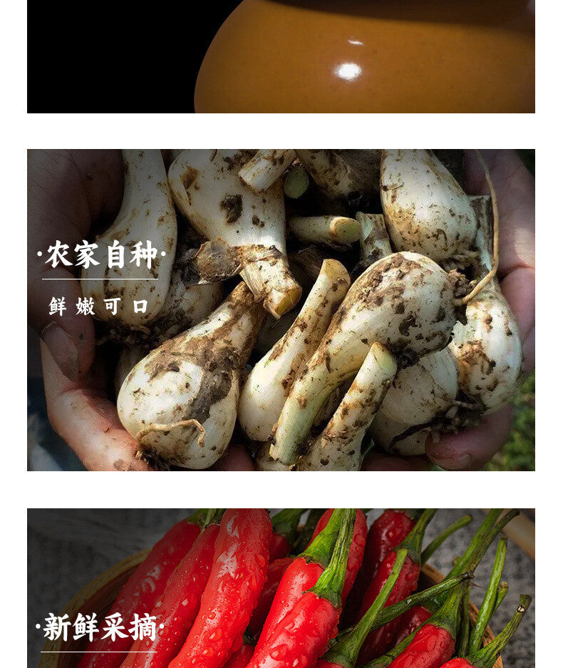 Spicy Pickled Allium – Tangy Chinese Side Dish (Ready to Eat)
