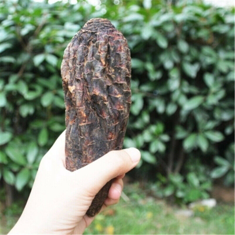 HelloYoung Rou Song Rong Sinkiang Wild Desertliving Cistanche Ecology Herb Tonic500g/1000g Secondary image