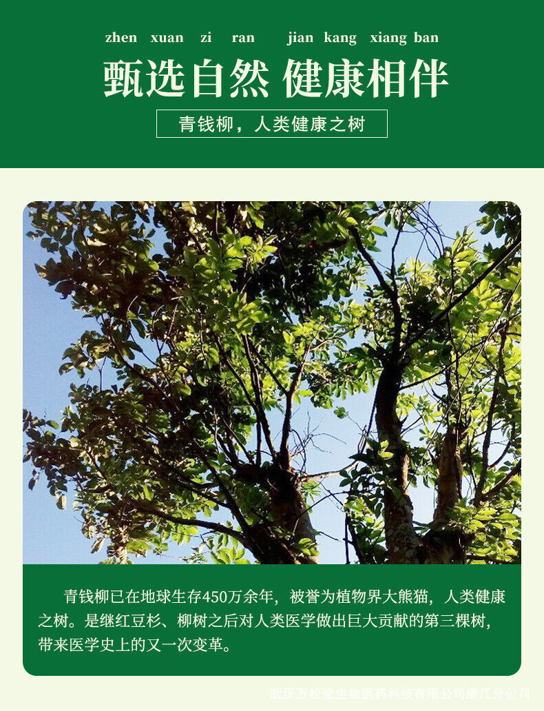 Green Strawberry Flavored Tea Yellow Essence Cassia Seed Yam Health Tea Tea 80g