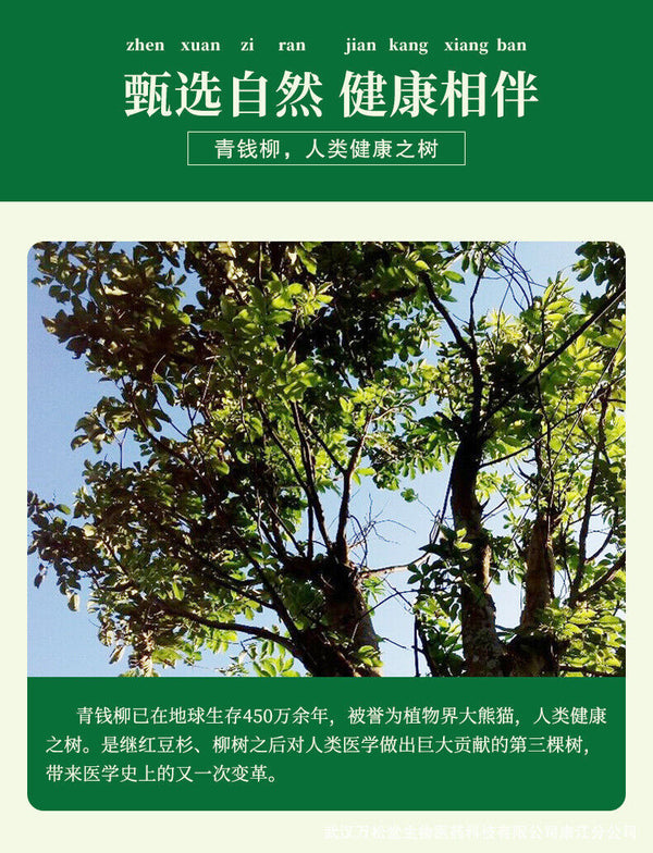 Green Strawberry Flavored Tea Yellow Essence Cassia Seed Yam Health Tea Tea 80g