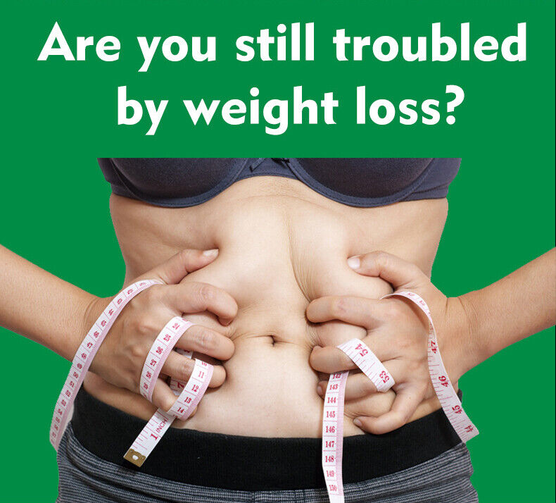 Weight Loss Milkshake Burn Fat Control Hunger Reduce Body Fat FatBlaster
