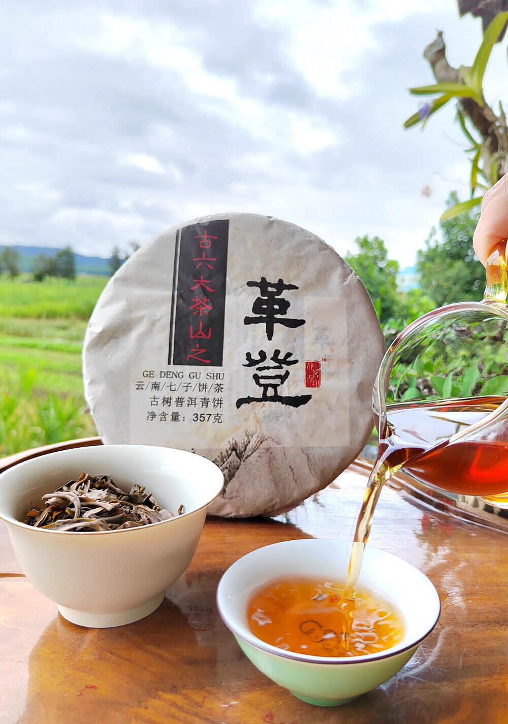 HelloYoung Pu'er Old Raw Tea Menghai Seven Cakes Yunnan Gedeng Yiwu Aged Old Raw Cake