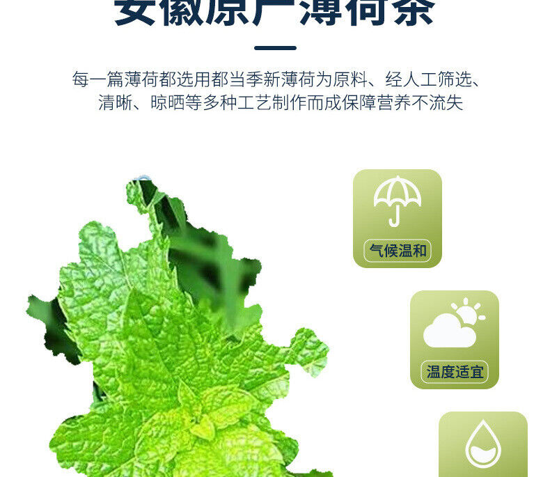 HelloYoung 50g Mint Tea Herbal Tea Fruit Tea Mint Leaf Cool Tea Peppermint Loose Leaf Tea