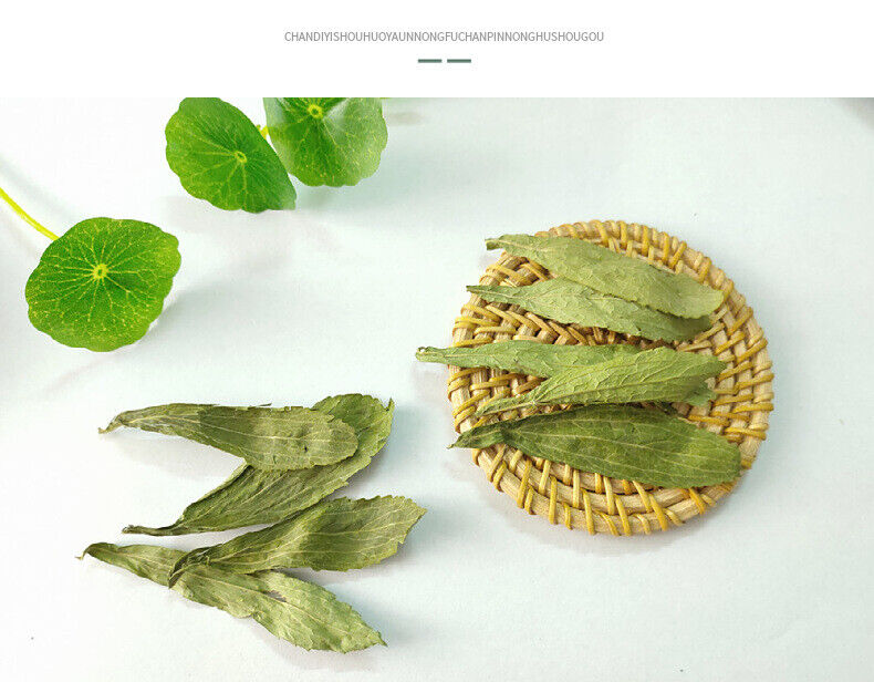 HelloYoung 500g Wholesale supply of stevia/stevia leaf in bulk 17.6oz
