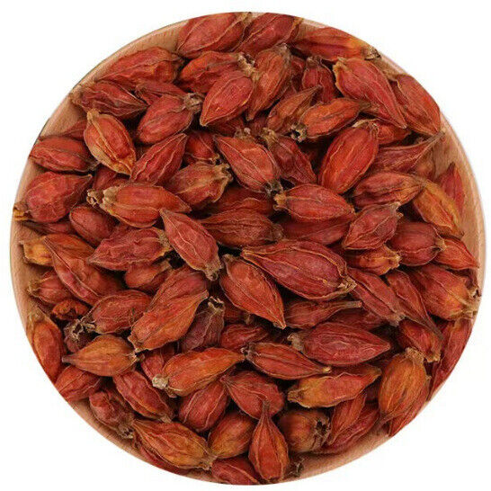 Gardenia Fruit Red Gardenia Dried Yellow Gardenia 500g Main image