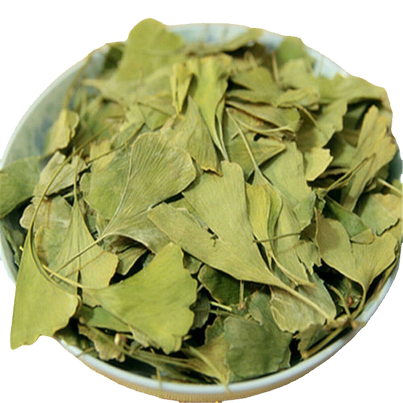 Ginkgo leaves Tea Medicinal Herbal Tea Ginkgo Biloba Leaves Chinese Wild Plant Main image