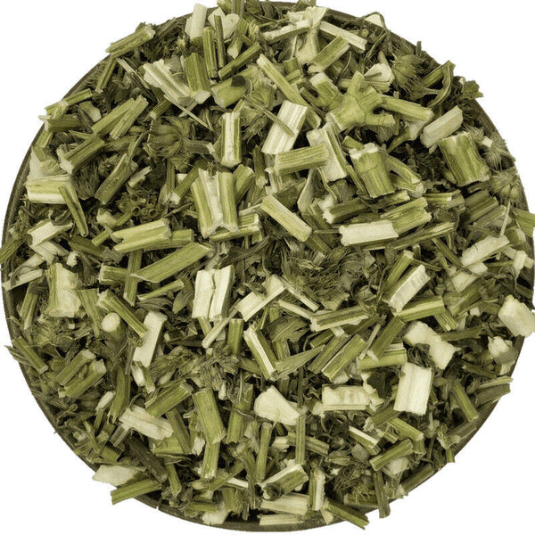 Fresh Chinese Herbal Tea Motherwort Soaked in Water Leonurus Japonicus Yimucao