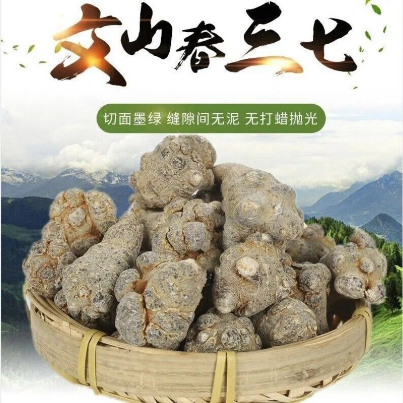 500g Sanchi Ginseng Root Powder Organic High quality Notoginseng Sanqi Powder
