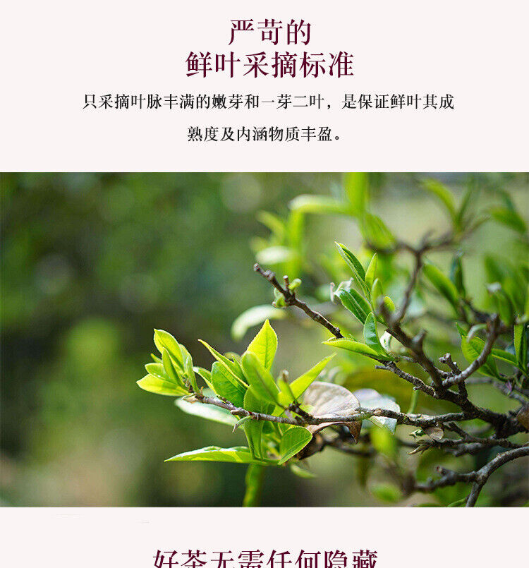 HelloYoung 750g Yunnan Pu-erh Raw Tea Brown Tea Column Arbor Old Tree Raw TEA