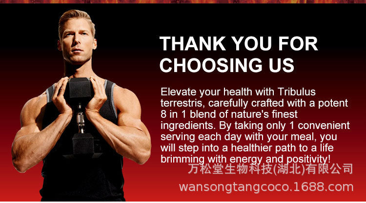 Easy to absorb man power energy gummies male Maca vegan Ginseng gummy