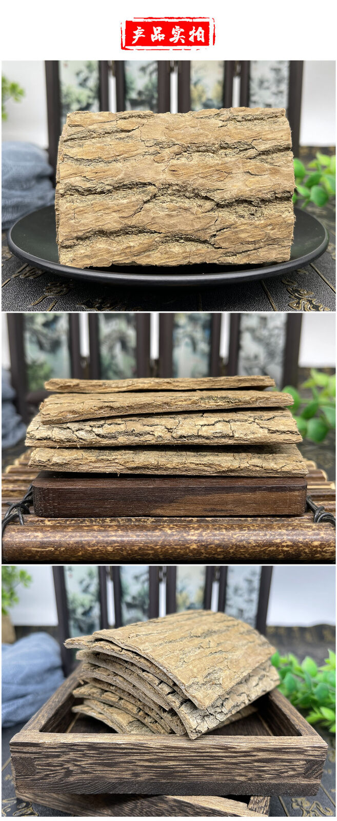 High Quality Eucommia Ulmoides Chinese Herbal Raw Eucommia Ulmoides Duzhong 杜仲