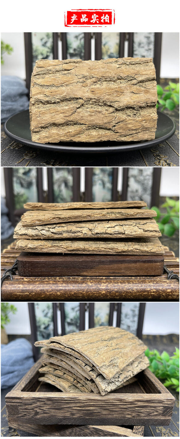 High Quality Eucommia Ulmoides Chinese Herbal Raw Eucommia Ulmoides Duzhong 杜仲