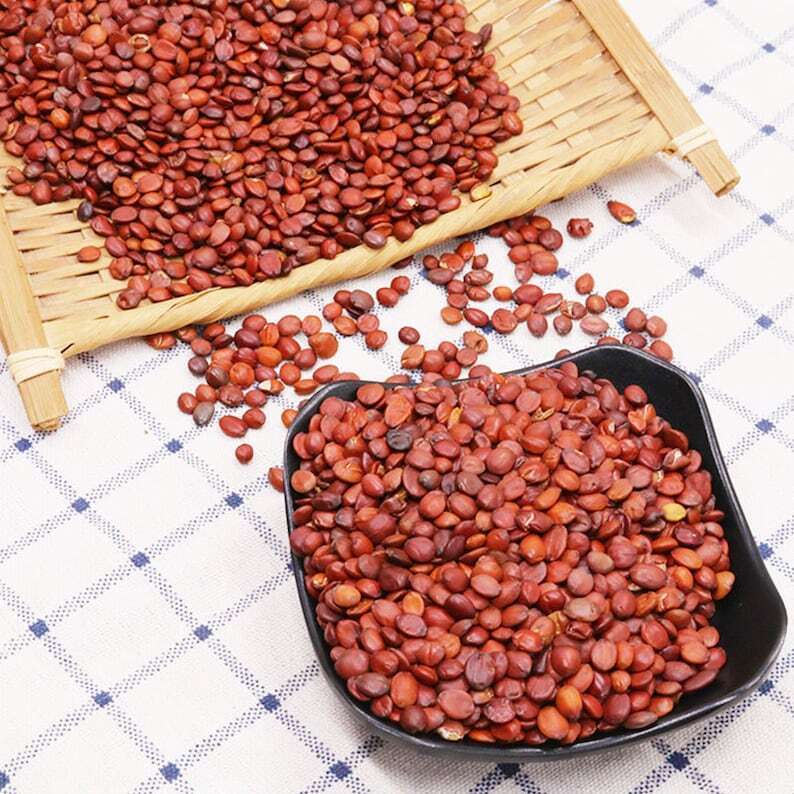 Raw Semen Ziziphi Spinosae Jujube Seed Guo Chan Suan Zao Ren