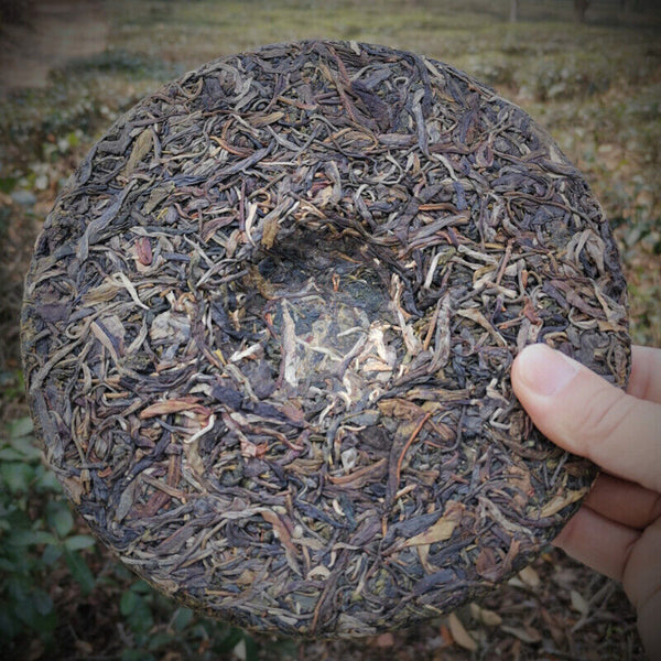 HelloYoung 357g Yiwu Pu'er Tea Early Spring Arbor Cha Tea Weight Loss Healthy Drink Tea