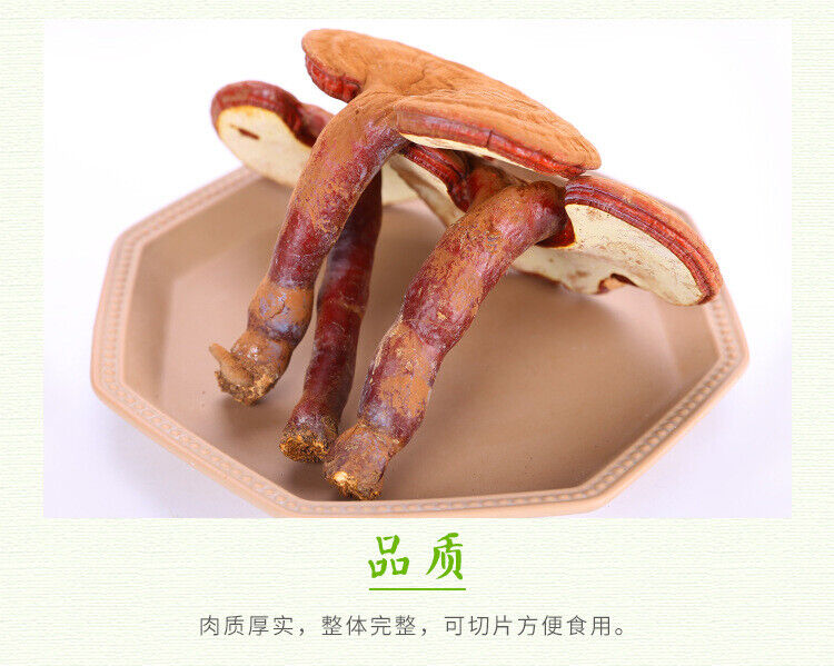 Changbai Mountain Lingzhi Tablet Red Ganoderma lucidum Wood Ganoderma lucidum