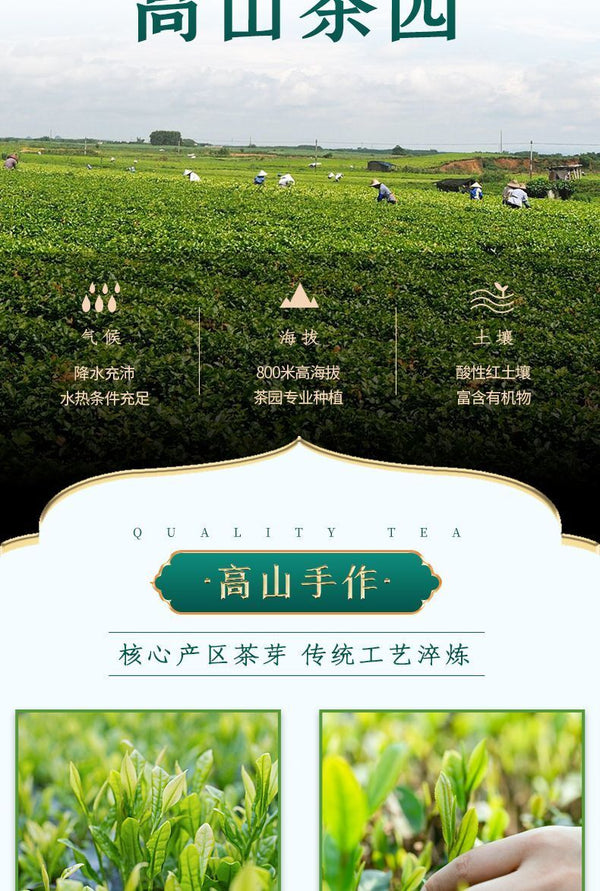 Biluochun Green Tea Strong Aroma Tea Bag Independent Small Packaging