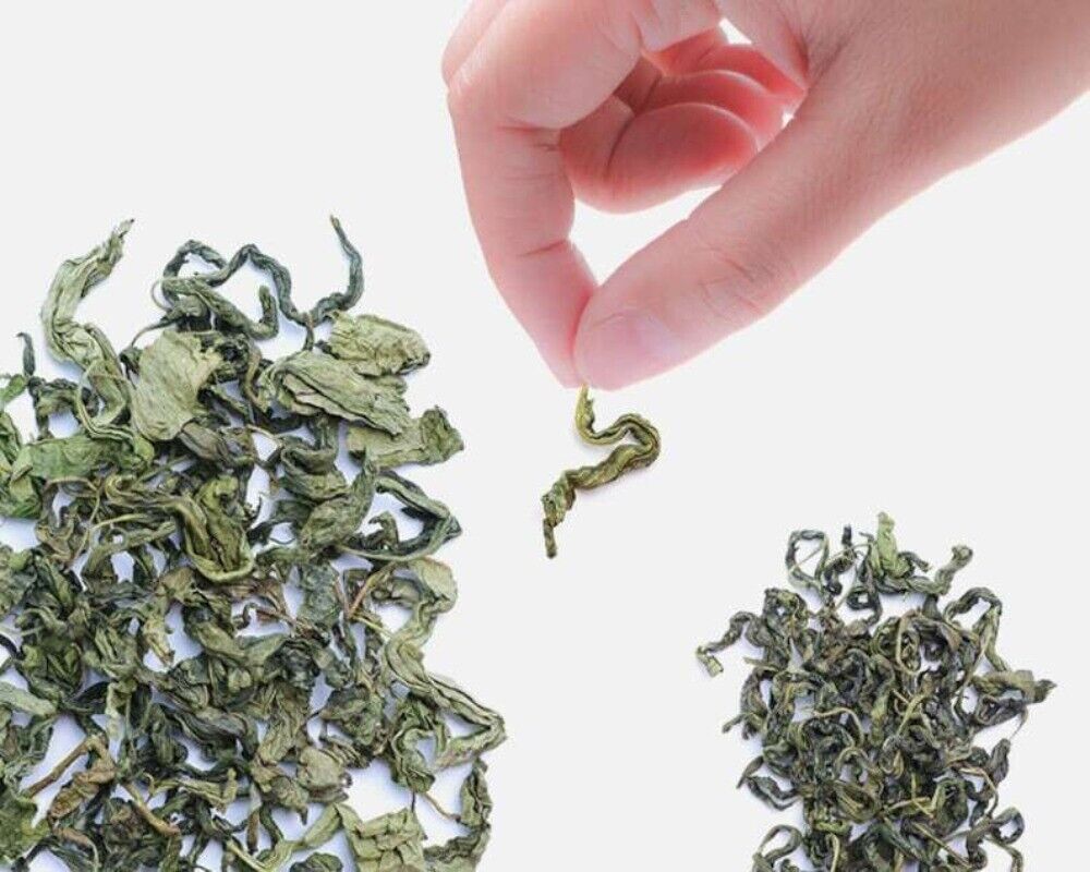 HELLOYOUNG TEA - [Herbal Tea] Folium Syringae Tea 50g Secondary image