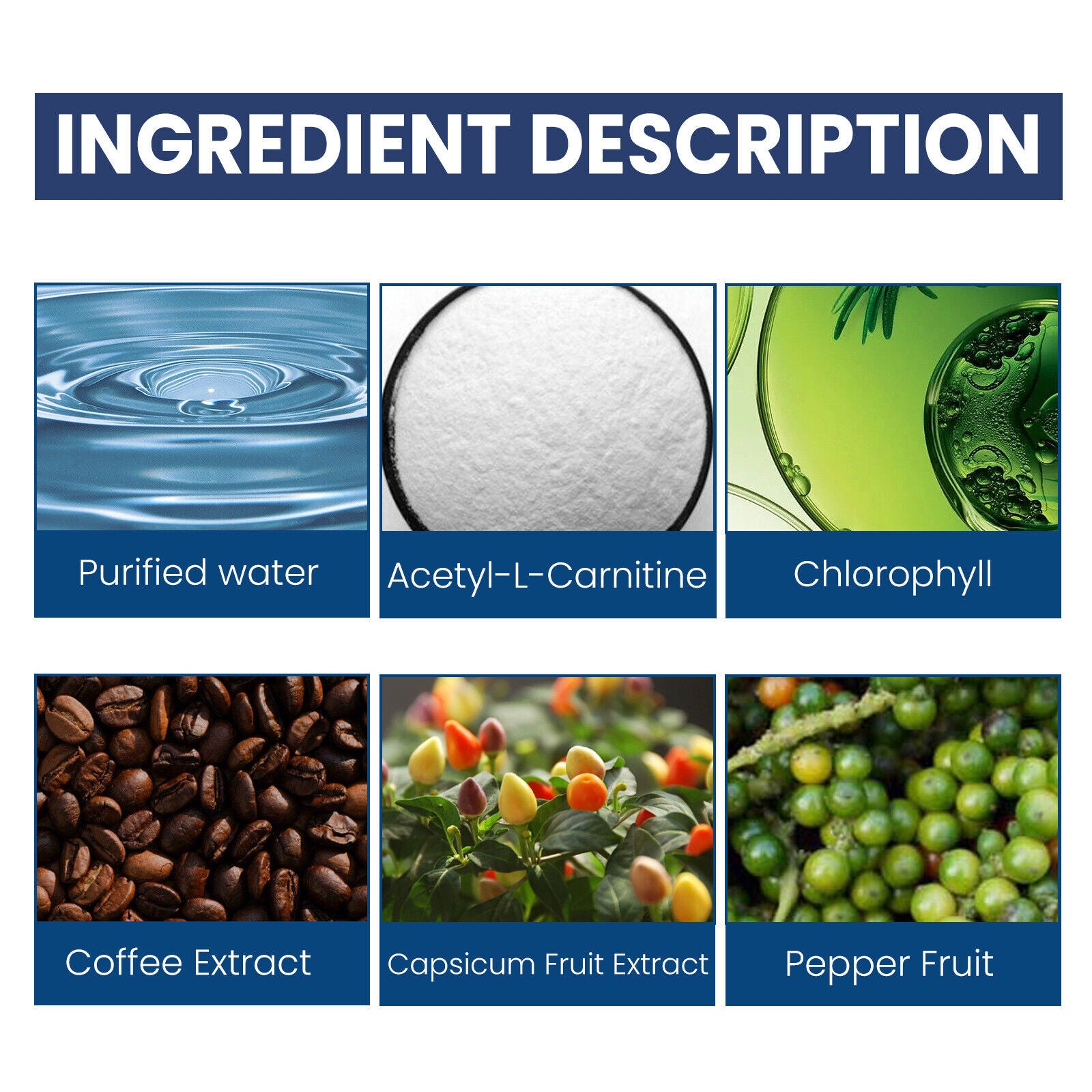 Men's Prostate Support Drops with Acetyl L-Carnitine Chlorophyll,Capsicum Pepper