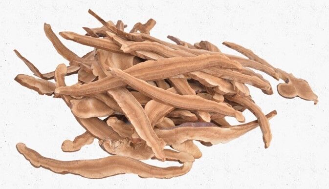 Organic Herb Healthy Food Dried Wild Lingzhi Red Reishi Mushrooms Ganoderma 250g