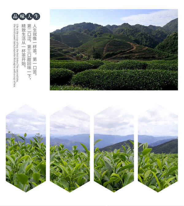 HelloYoung Taiwan High Mountain Tea Frozen Top Oolong Golden Day Oolong Tea 150g Pack
