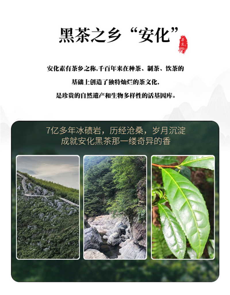 HelloYoung 1kg Hunan Anhua black tea handmade brick tea Tianjian JinhuaFu brick black tea