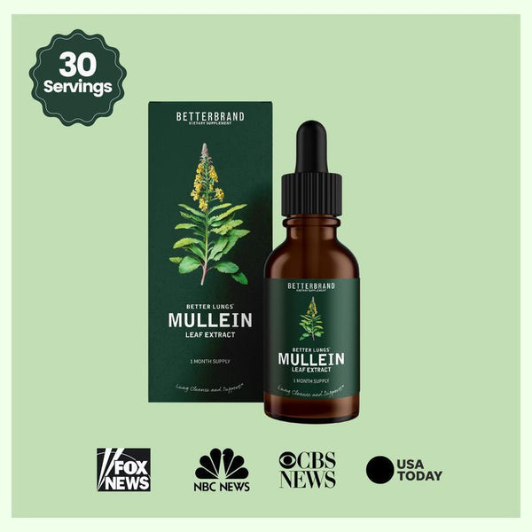 All-natural Ingredients Health Care Mullein Leaf Extract Drops