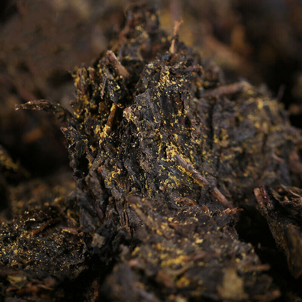 Fu Zhuan Brick Tea Natural Baishaxi Dark Tea China Anhua Black Tea Fu Cha 300g