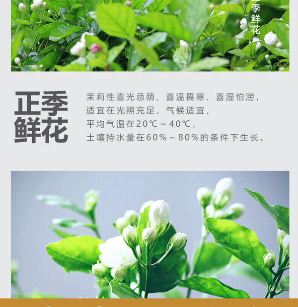 HelloYoung Strong Fragrance Jasmine Tea New Tea Loose Drifting Fragrance Herbal Tea 100g