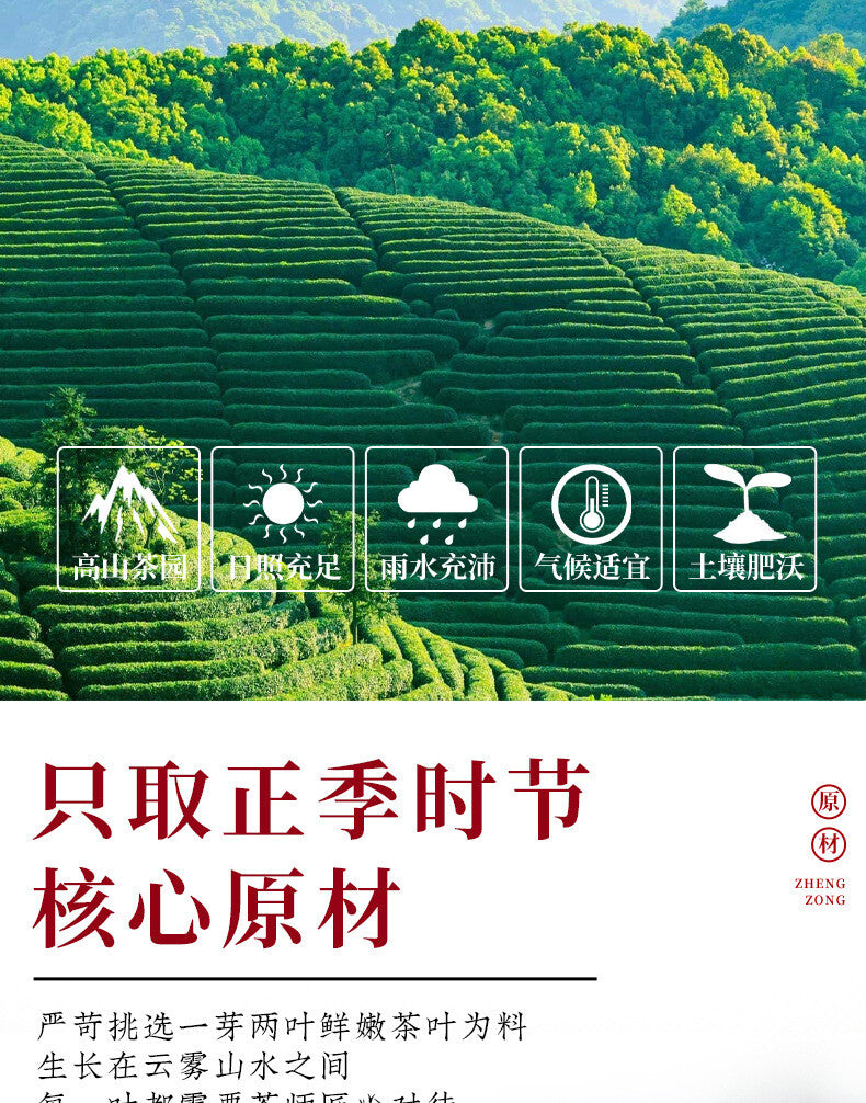 Authentic Fujian Rose White Tea Fuding Old White Tea Mini Tea Cake Rose Shoumei