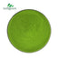 Matcha Slimming Products Ice Cream Baking Black Color Matcha Green Tea Powder