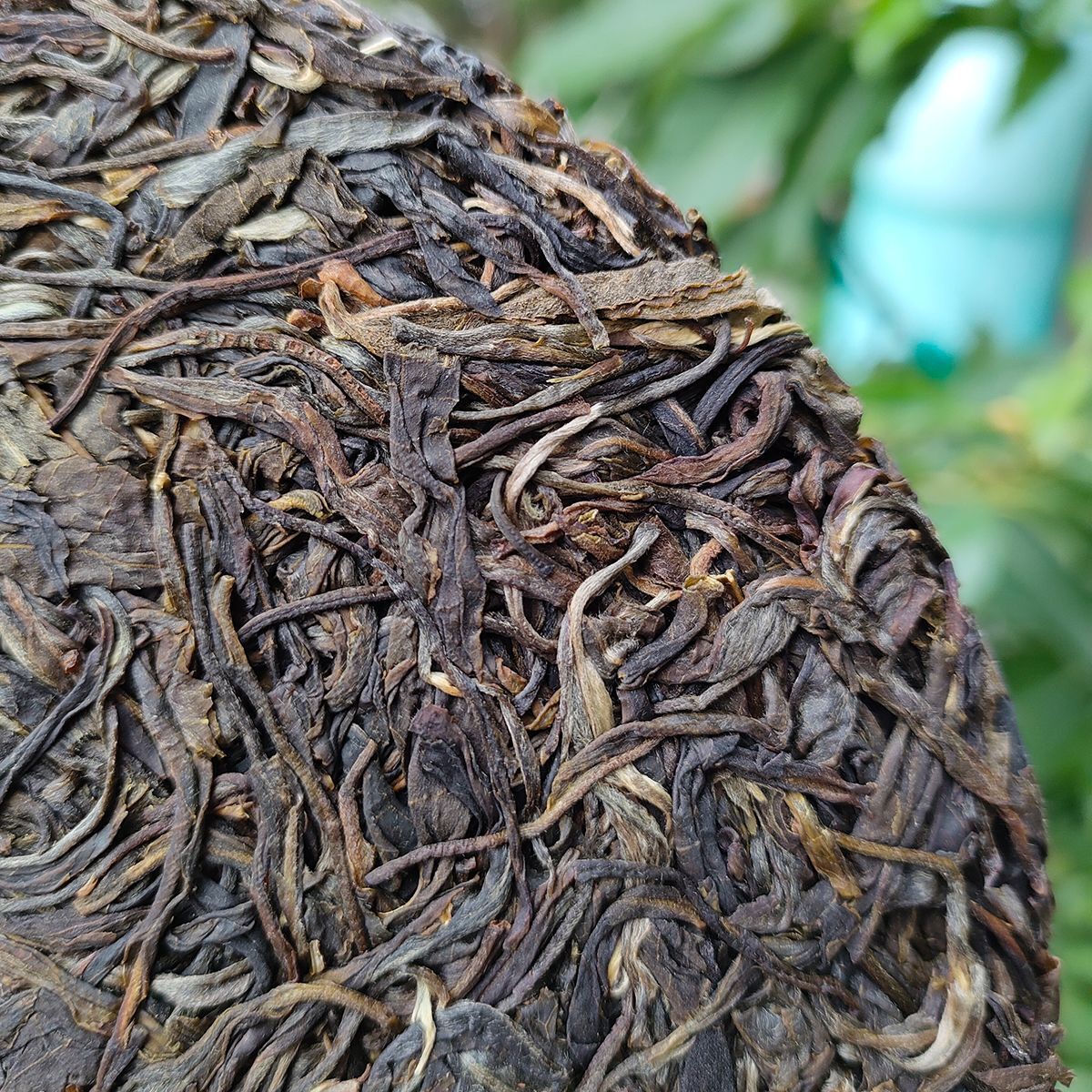 HelloYoung Yunnan Menghai Meng Song Slippery Bamboo Liangzi Early Spring Pu-erh Raw Tea357g