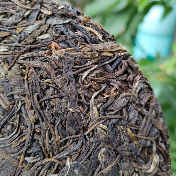 HelloYoung Yunnan Menghai Meng Song Slippery Bamboo Liangzi Early Spring Pu-erh Raw Tea357g
