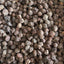 HelloYoung New Dried Plums Non-Smoked New Dried Plums Medicinal Purposes 500g/1.1lb